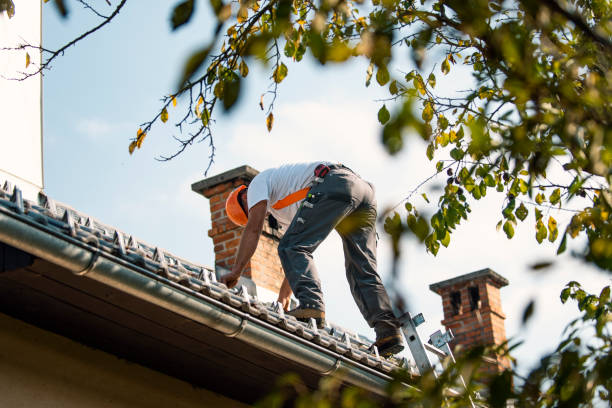 Best Best Roofing Contractors  in Delmont, PA