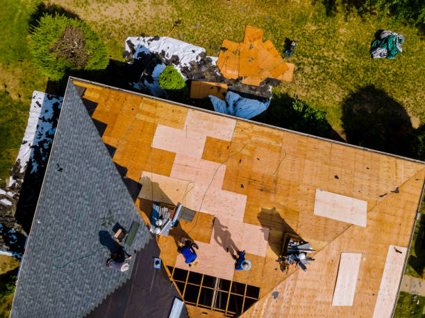 Best Roof Gutter Cleaning  in Delmont, PA