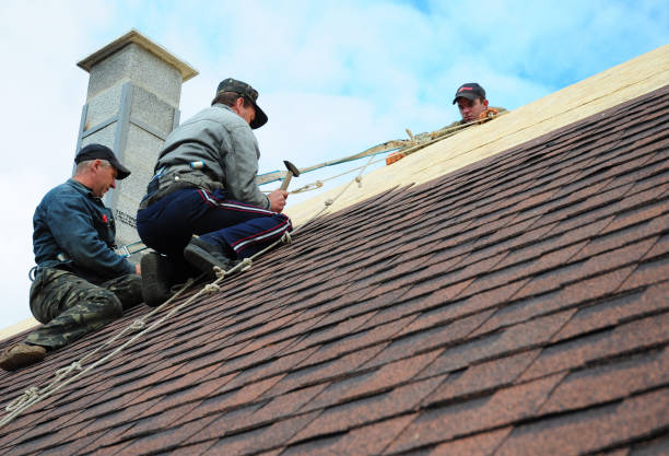Best Roof Waterproofing Services  in Delmont, PA